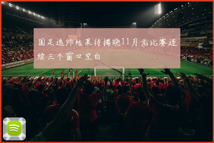 国足选帅结果待揭晓11月无比赛连续三个窗口空白